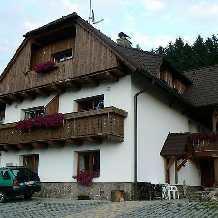 Apartmany U Vacu Železná Ruda エクステリア 写真