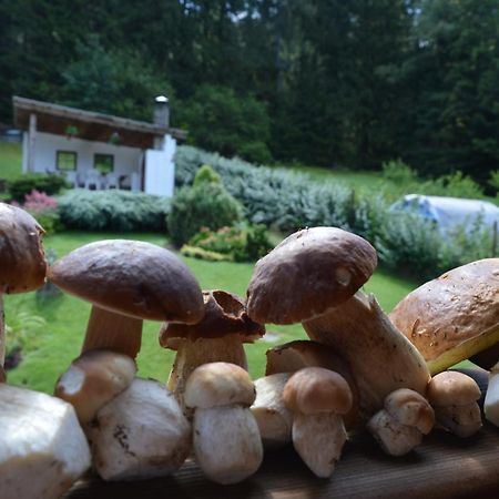 Apartmany U Vacu Železná Ruda エクステリア 写真